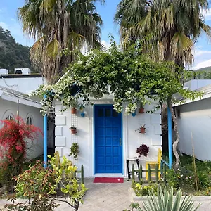 book here